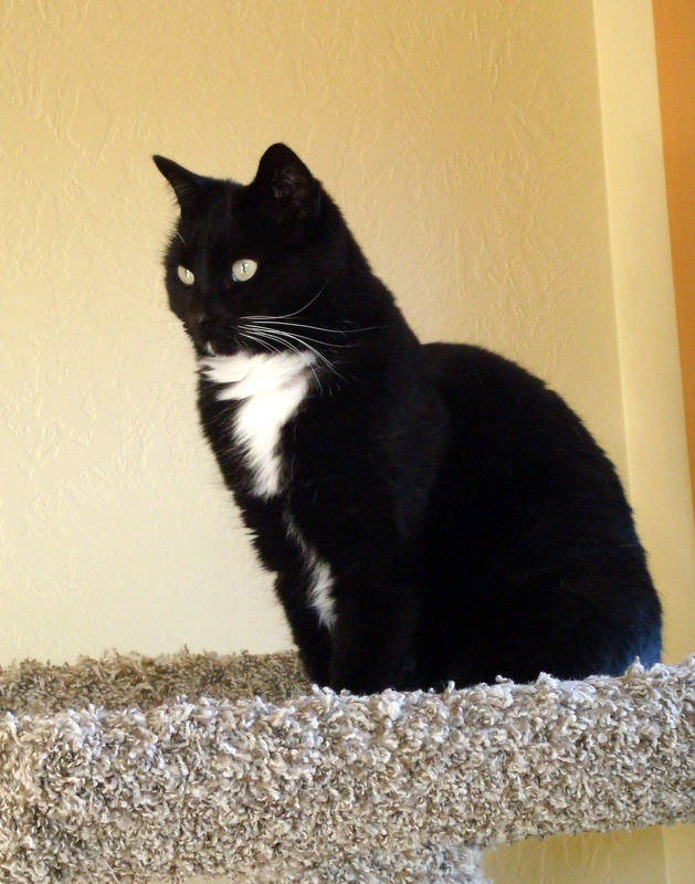 Photo of Mazama here